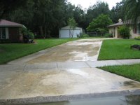 misc 1 010 (Medium).jpg