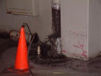 DSCF0042 (Small).JPG