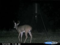 backyard 9-23-08 002.jpg