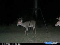 Backyard 9-28-08 013.jpg