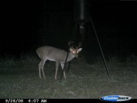 Backyard 9-28-08 026.jpg