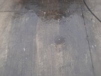 logans back door.jpg