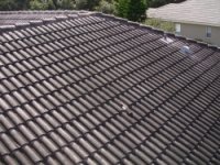 roof-cleaning-tampa (3).jpg