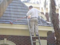 roof-cleaning-tampa-lichen-poison-pwi.jpg